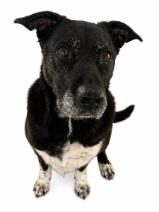 Employee photo of Lily A